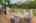 Blurred preview of media: k3.2 - Outdoor - Scandinavian - 0 copy