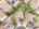 Blurred preview of media: 85-print-DJI_20260527045857_0971_D