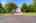 Blurred preview of media: Nerine_002