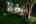 Blurred preview of media: 4Sept0007