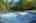 Blurred preview of media: IMG_005.1