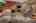 Blurred preview of media: 12