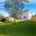 Blurred preview of media: 39