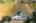 Blurred preview of media: Aerial 12