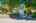 Blurred preview of media: 03