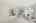 Blurred preview of media: 2bobwhite_055