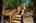 Blurred preview of media: Stairs