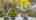 Blurred preview of media: 69