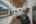 Blurred preview of media: 723CountyRd242-18