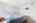 Blurred preview of media: 2830 Renshaw St 00022