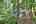 Blurred preview of media: IMG_3135_6_7_easyHDR
