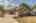 Blurred preview of media: 129MorrisSt-2