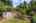 Blurred preview of media: 1-13