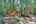 Blurred preview of media: IMG_3351_2_3_easyHDR