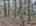 Blurred preview of media: DJI_20260505133943_0799_D_800_D_801_D_easyHDR