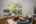 Blurred preview of media: 9-10565_SW_Cormorant_Dr
