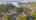Blurred preview of media: dji_fly_20260226_173730_0127_1772150556273_photo
