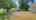 Blurred preview of media: 200 N Indiana Ave-42