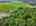 Blurred preview of media: 76-shades-of-death-road-great-meadows-n-j-drone-009