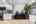 Blurred preview of media: 5D0A7615