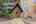 Blurred preview of media: 1 1350 Josephine St, #401 00014