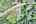 Blurred preview of media: DJI_0179_80_81_easyHDR