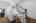 Blurred preview of media: 31 Howell Mill Plantation_Low Res-7
