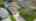 Blurred preview of media: 1.4