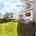 Blurred preview of media: 34 Cutter Lane Amesbury Massachusetts Job 41195 0006