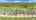 Blurred preview of media: DJI_0531