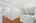 Blurred preview of media: 2bobwhite_040