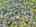 Blurred preview of media: DJI_20260505134434_0853_D_4_D_5_D_easyHDR