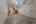 Blurred preview of media: 345-15
