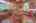 Blurred preview of media: IMG_0391_2_3