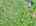 Blurred preview of media: DJI_20260527103510_0005_D_6_D_7_D_easyHDR