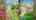 Blurred preview of media: IMG_0404 3 pix