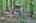Blurred preview of media: IMG_4676_7_8_easyHDR