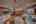 Blurred preview of media: Novia II 2026-30