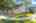 Blurred preview of media: 1