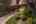 Blurred preview of media: 43 Cresta Verde-57