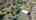 Blurred preview of media: DJI_0738