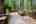 Blurred preview of media: PAX_2120