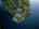 Blurred preview of media: TWI-DJI_0100-HDR