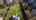 Blurred preview of media: 55