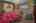 Blurred preview of media: 42