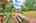 Blurred preview of media: IMG_1012_3_4_easyHDR