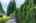 Blurred preview of media: 38