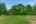 Blurred preview of media: 12430 Gentle Ben-64