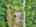 Blurred preview of media: DJI_20260609113635_0665_D_6_D_7_D_easyHDR