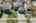 Blurred preview of media: 003